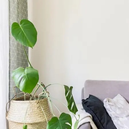 Lakeside Apt. Apartment *